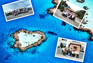 黄瓜视频黄色團隊（duì）